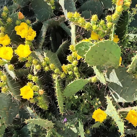 Апартаменты Rest *