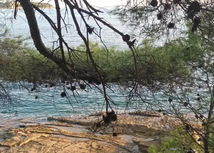 Διαμέρισμα Rest